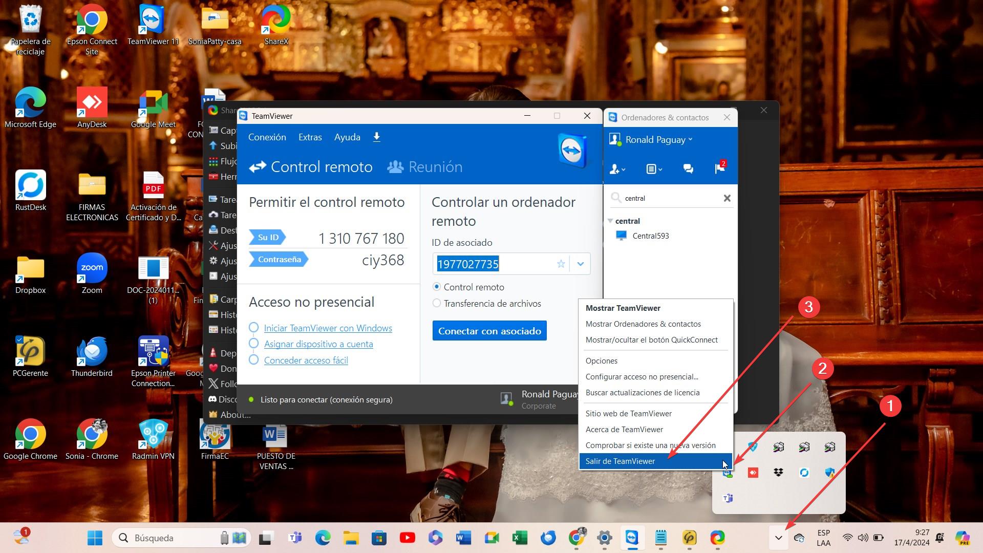 productos-pcgerente-teamviewer.jpg